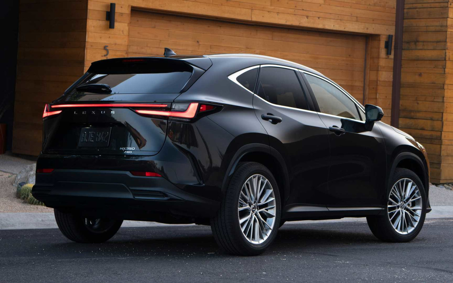 Comparison Lexus UX 250h 2021 Vs Lexus NX 350 2022 SUV Drive